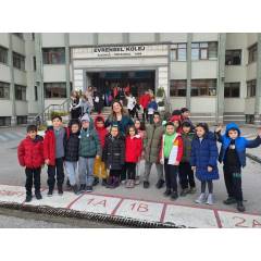 Evrensel Kolej